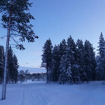 Semesterbostad Northern House Enare