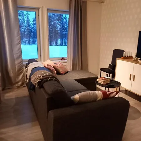 Northern House Semesterbostad Enare